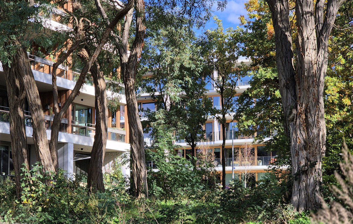 NandaSluijsmans's tweet image. Zo wonen in Nederland kan gewoon.🤩🌳
#Ede #MIX architectuur