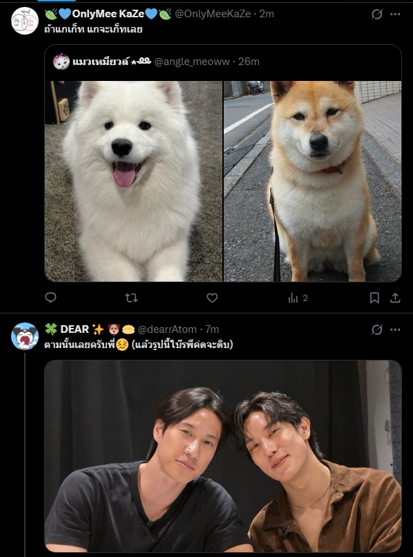 JinJihoonn's tweet image. แกอย่าขึ้นต่อกันแบบนี้ มันจะไอ้นั่น