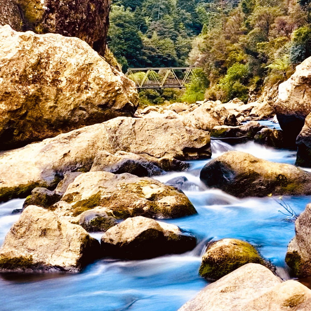 #RippleThursday

Tranquility in the Gorge is a featured piece from my **New Zealand – Emerald Isles &amp; Endless Skies** photography collection. 

Link: xrp.cafe/nft/00081388D0…

Price - 10 $XRP

Tagging: <a href="/Shabarigirisan4/">Shabari (Sglinestrates) aka Shabarigirisan Selvam</a>, <a href="/abhroernesto/">Abhro deep XRP</a> &amp; <a href="/zizo_photograph/">zizo</a>  

Link for the full series: