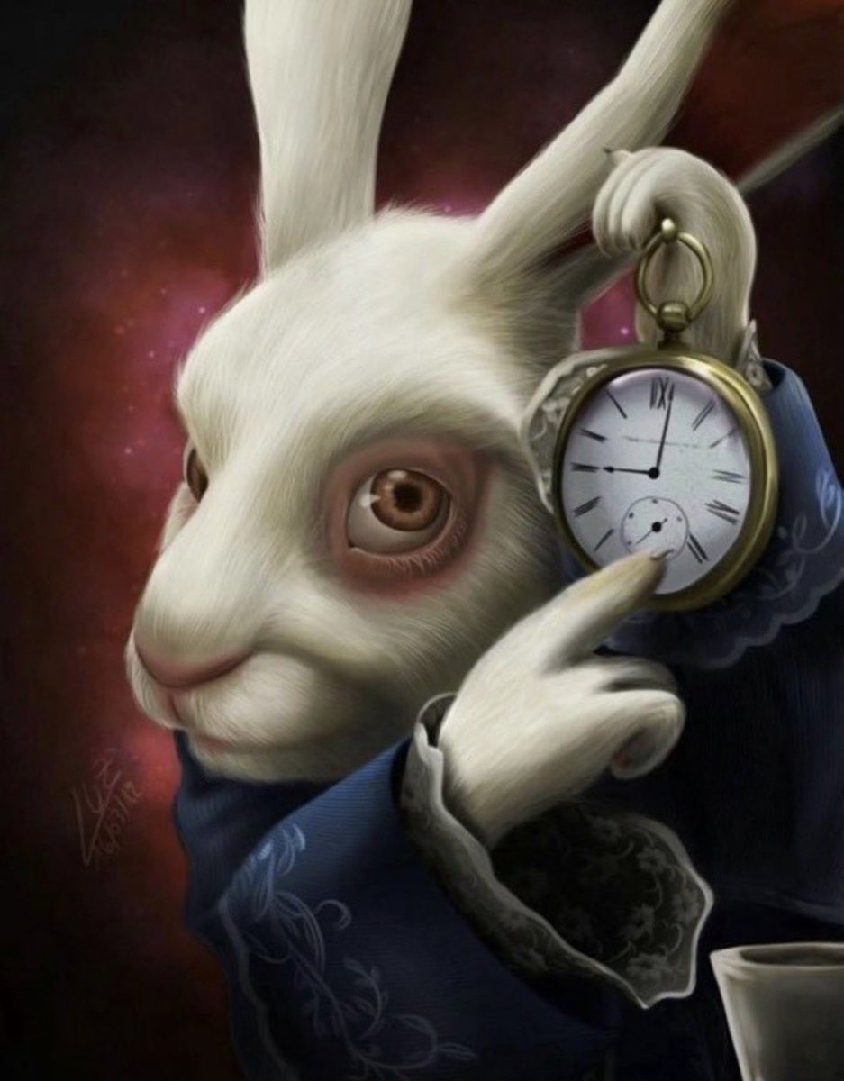 todos los caminos llevan a dormirme tarde.