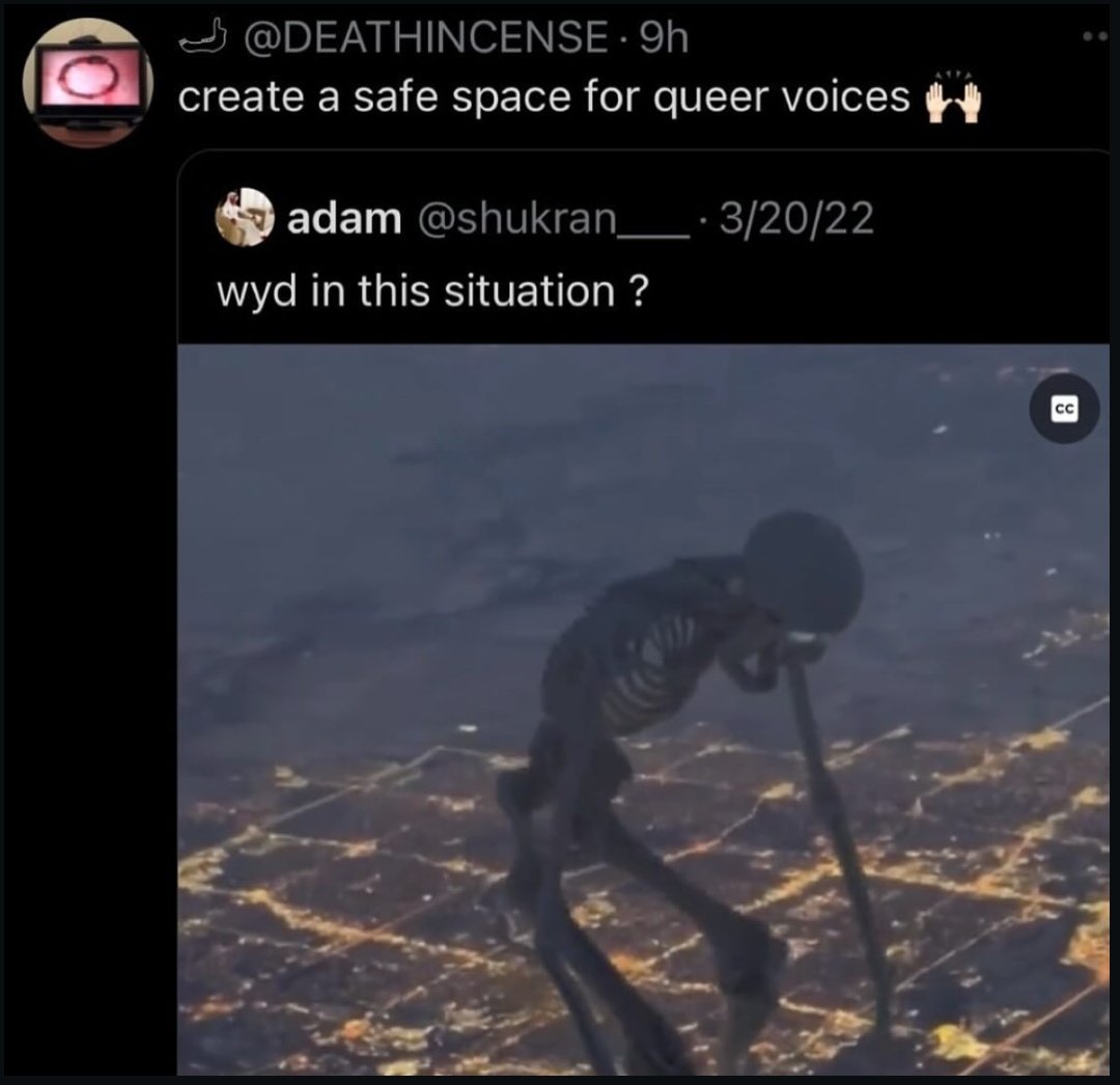 librarealt's tweet image. robin