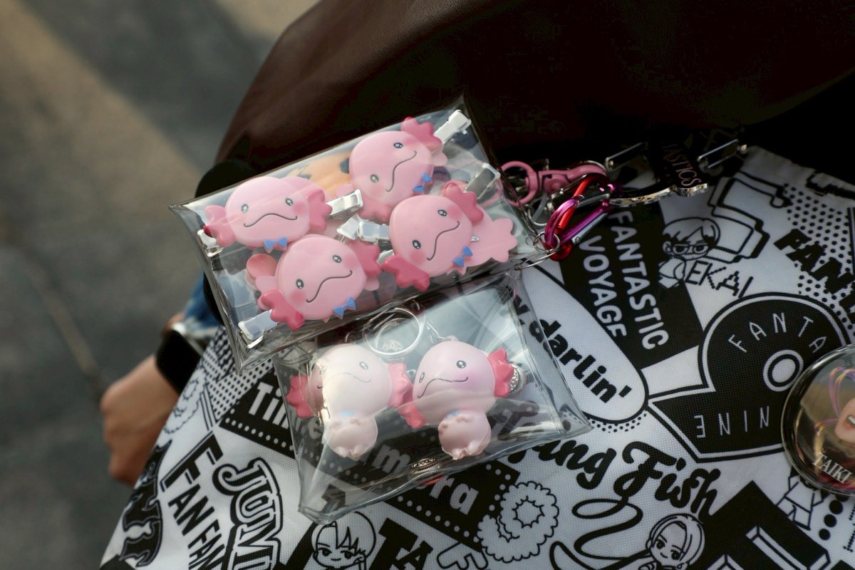 神戸も凄いなぁ！ ブログにはもっと載せてます📸