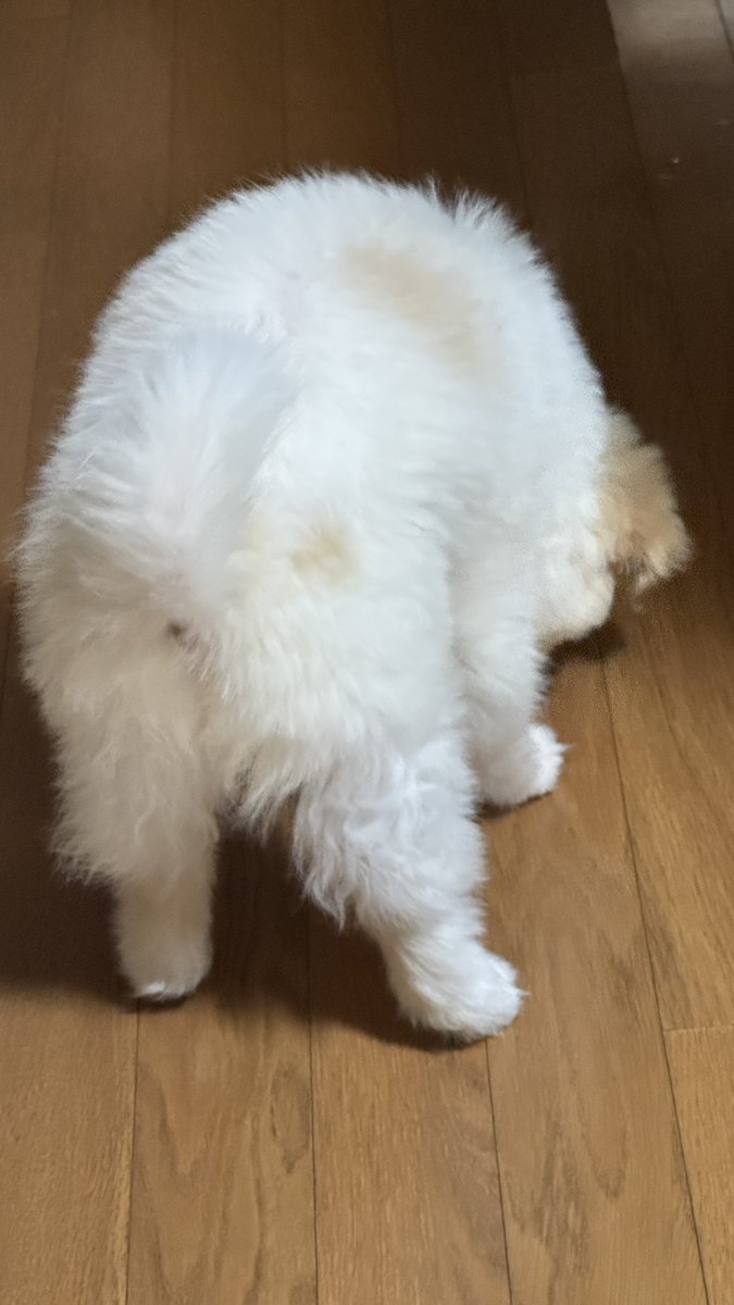 아기 히동이 사진은 봐도봐도 안질린다...