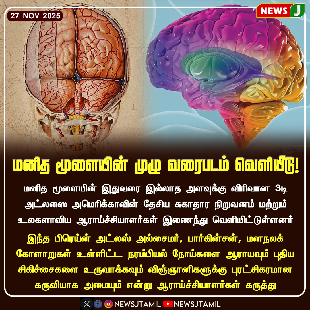 NewsJTamil's tweet photo. மனித மூளையின் முழு வரைபடம் வெளியீடு!
#BrainMap #HumanBrain #NeuroscienceBreakthrough #ScienceNews #BrainResearch #NeuralMapping #MedicalInnovation #MindScience #CognitiveRevolution #GlobalDiscovery #newsj https://t.co/WQ19tHgC6H