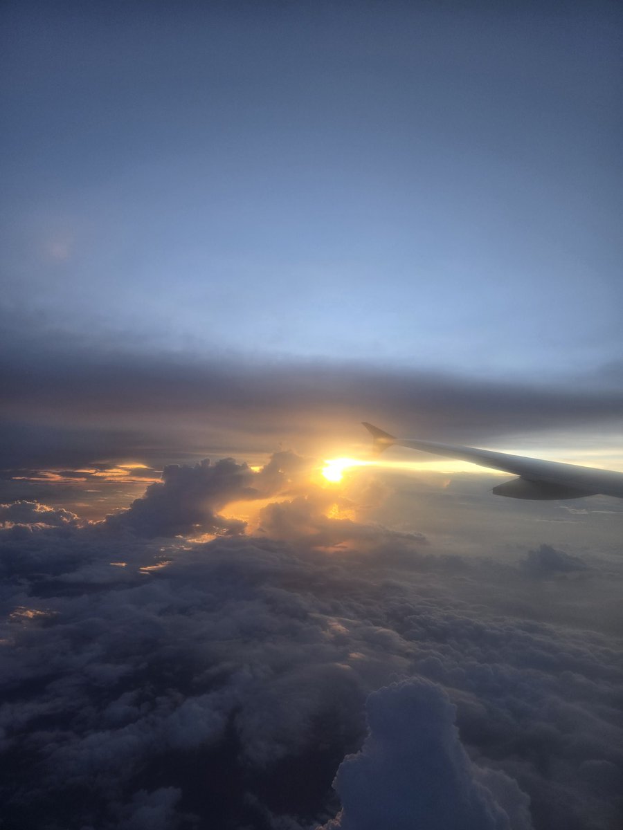 CodeSerotonin's tweet image. 