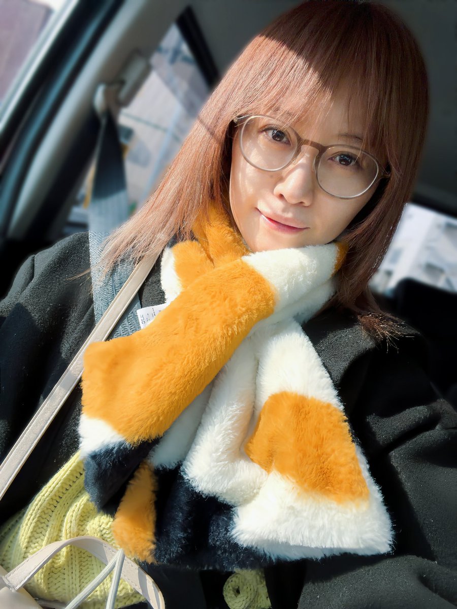 チェキフィル探しの旅に出ます🐈 たくさん見つかると良いなぁ🌟