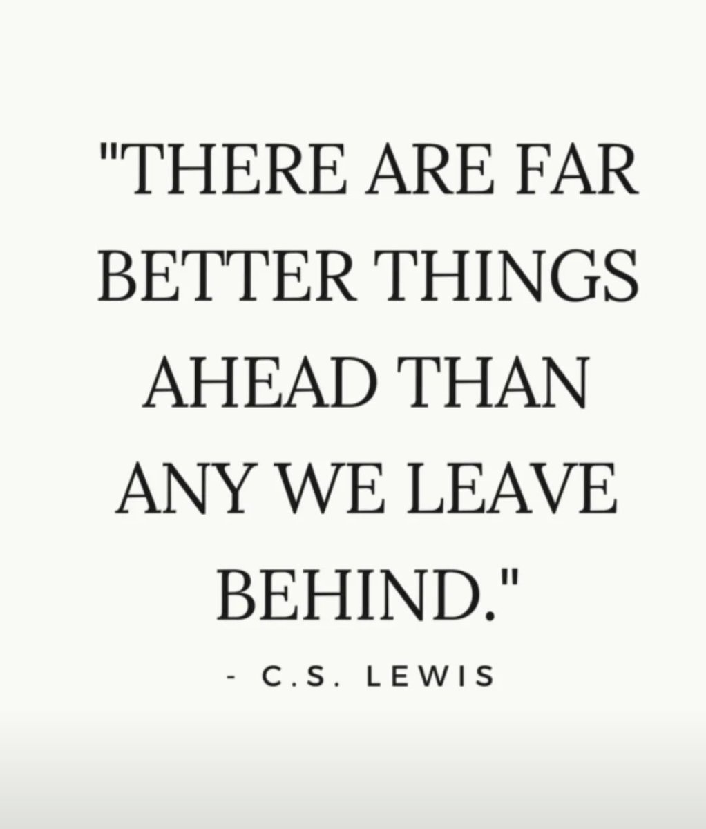 Yellow Owl (@_yellow_owl) on Twitter photo 