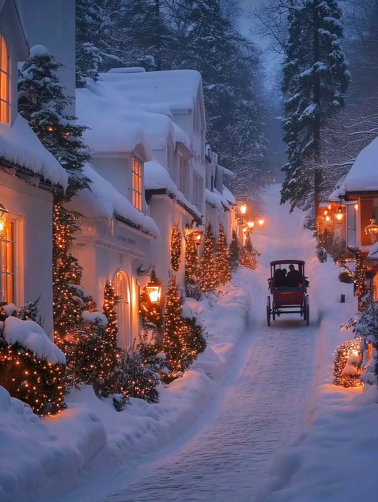 Beautiful flowers 🪷 (@annarblk) on Twitter photo 