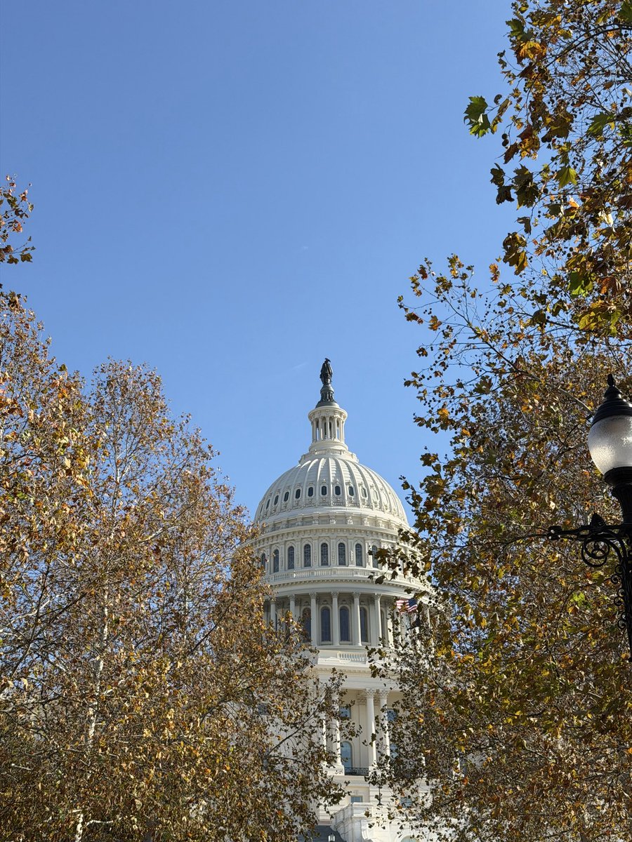 <a href="/Roi7O_/">‏قشطهَ</a> iPhone 17 pro ❣️