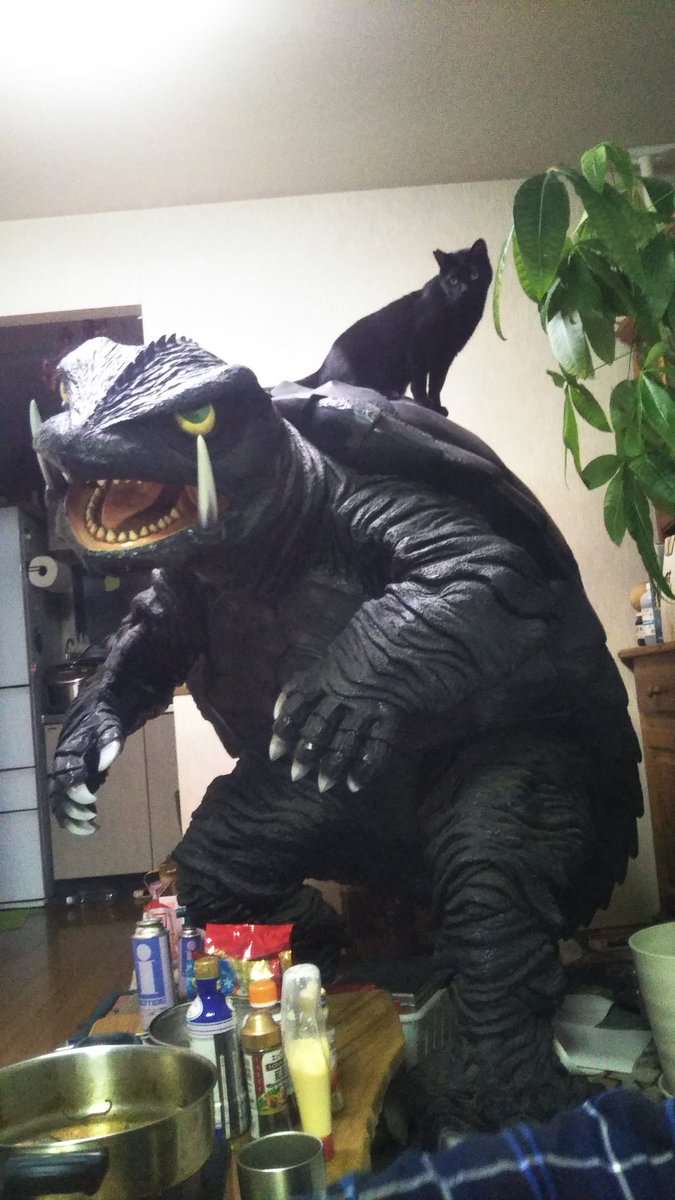 久遠（くおん） (@ttake1f221) / Posts / X