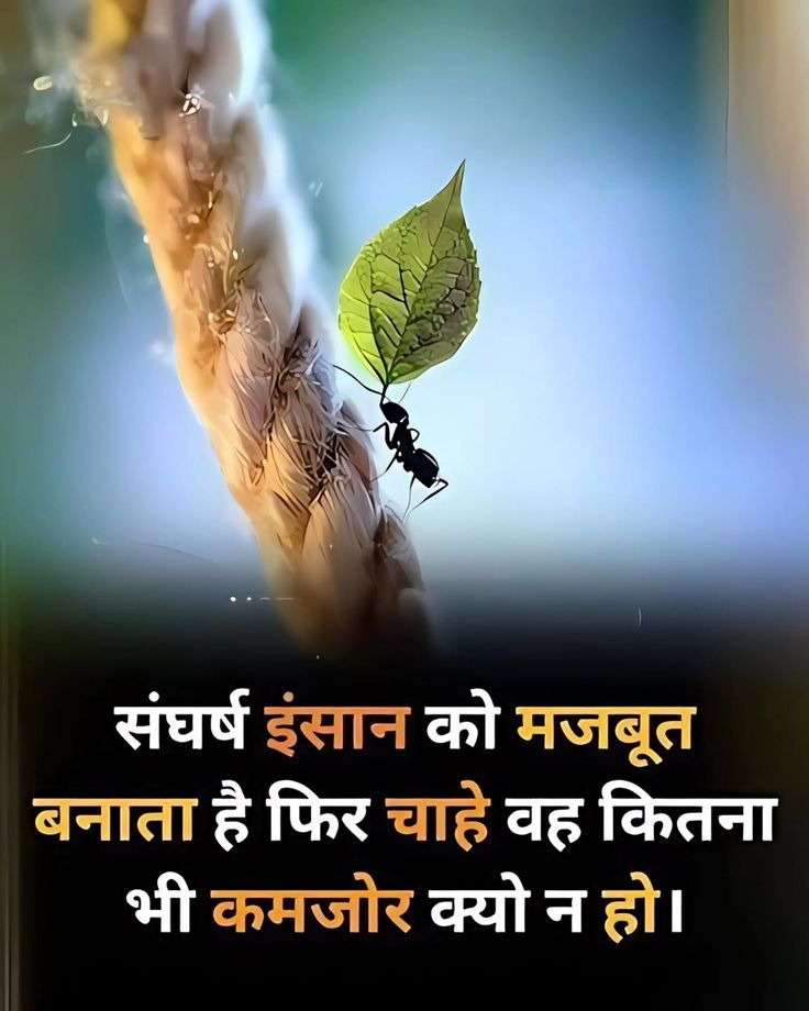 "जीवन में संघर्ष ही इंसान को मजबूत बनाता है। चाहे हम कितने भी कमजोर क्यों न हों, अगर हिम्मत नहीं हारते और लगातार प्रयास करते रहते हैं, तो एक दिन हमारी मेहनत ज़रूर रंग लाती है।
ठीक उसी चींटी की तरह, जो खुद से कई गुना बड़ा भार उठाने की क्षमता रखती है। वह बार-बार कोशिश करती है,