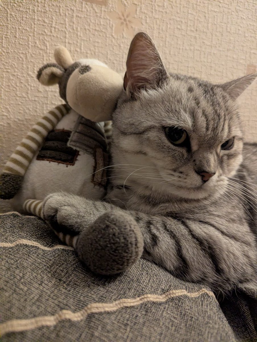 Кисуня))♥️