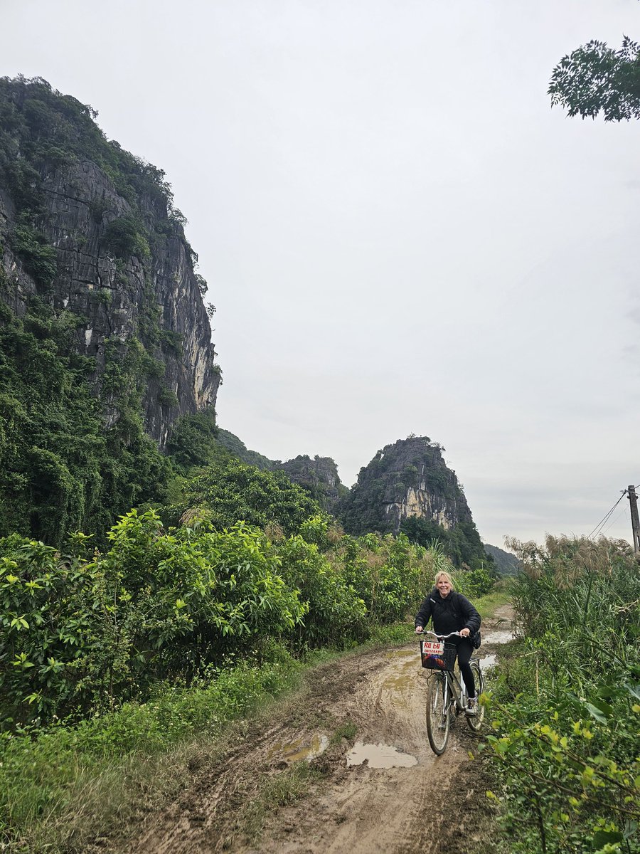 annette cornelisse tweet media