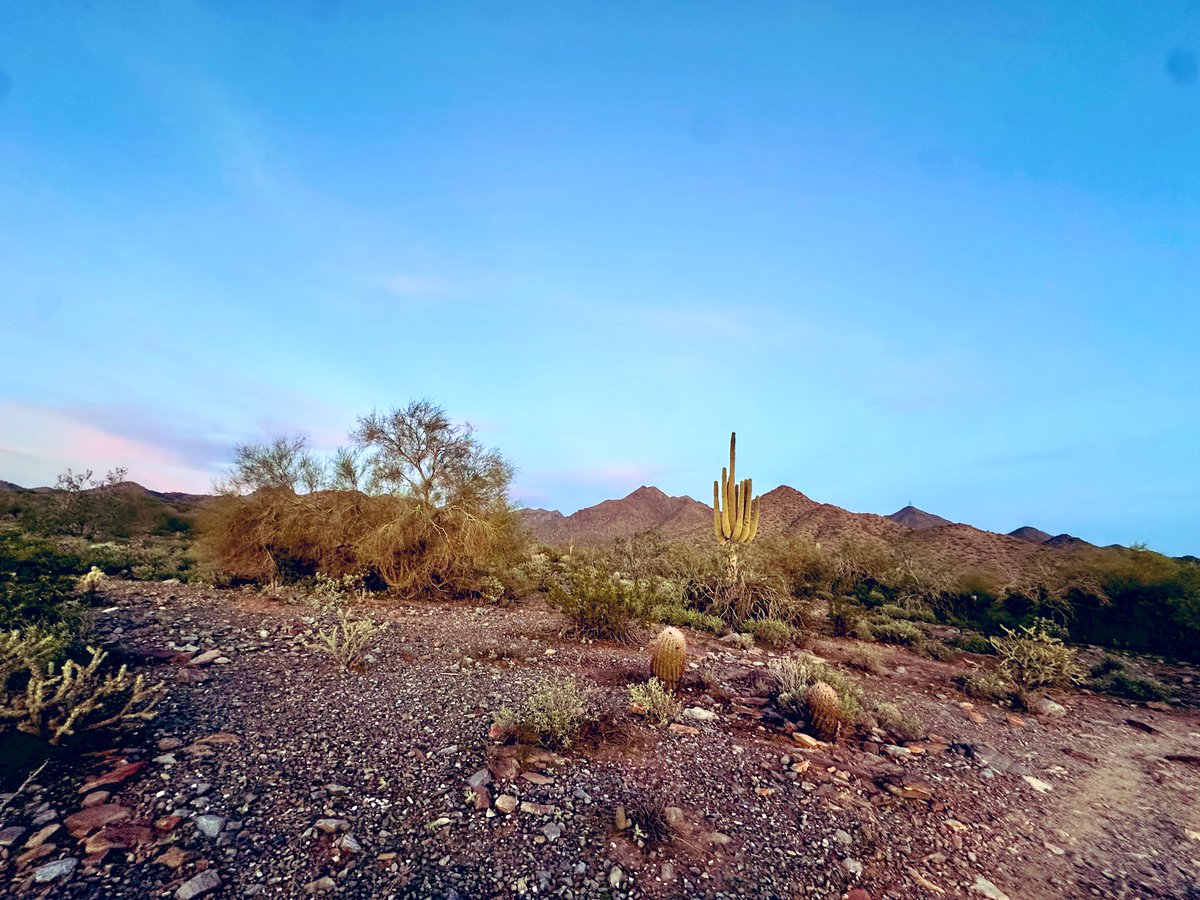 Happy Thanksgiving 💕🤠🌵

I’m grateful for my amazing family.