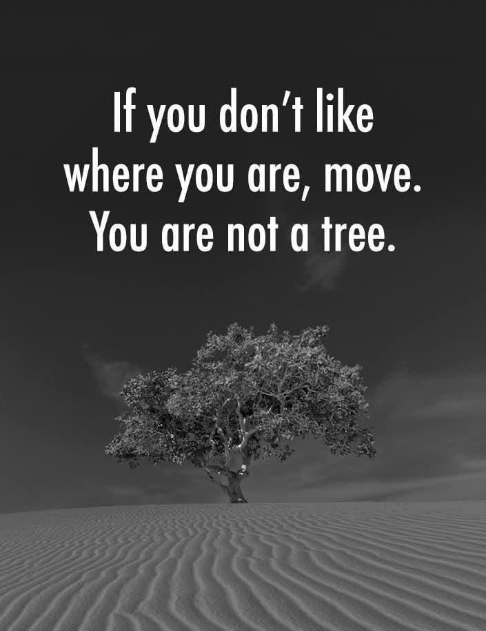 thechilosopher2's tweet image. If you don&apos;t like where you are, move. You are not a tree. ✨🙏
#HBDUdhay
#VisionForAll