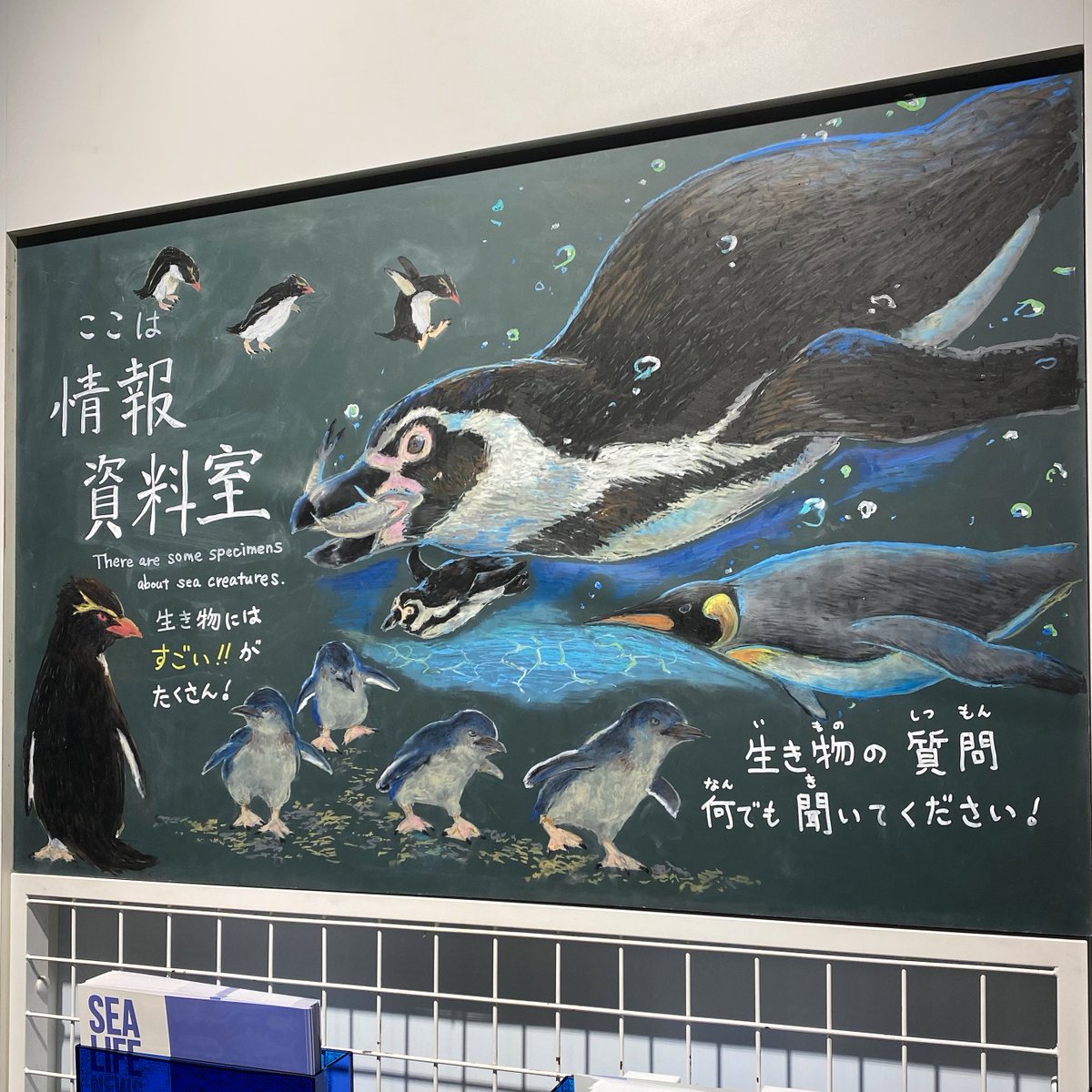 GOTOKYOofficial's tweet photo. Let's explore the Tokyo Sea Life Park!🌍
Get up close with fish from Tokyo Bay and around the world👀🐠#FishWatching.Feel the power of tuna and the charm of the penguins!🐧
Don’t forget to take a souvenir photo comparing your height with a tuna! 📸
ℹ️https://t.co/P34hT9QqJd https://t.co/9AS5I0NMoO
