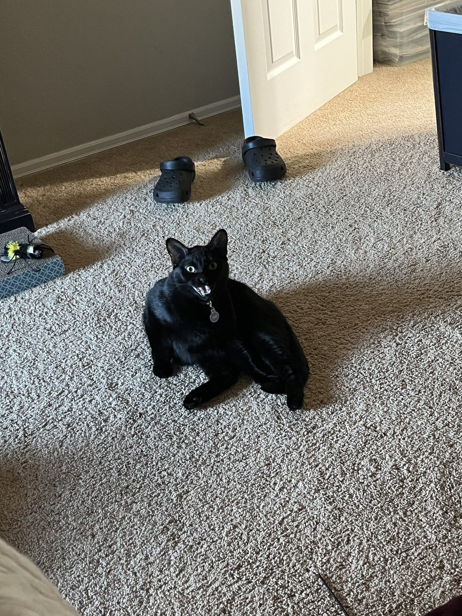 Fiction-L tweet media