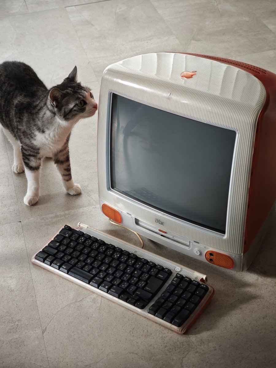 Paraph14's tweet image. 念願のiMac G3 タンジェリンを手に入れた。
これには猫も興味津々
