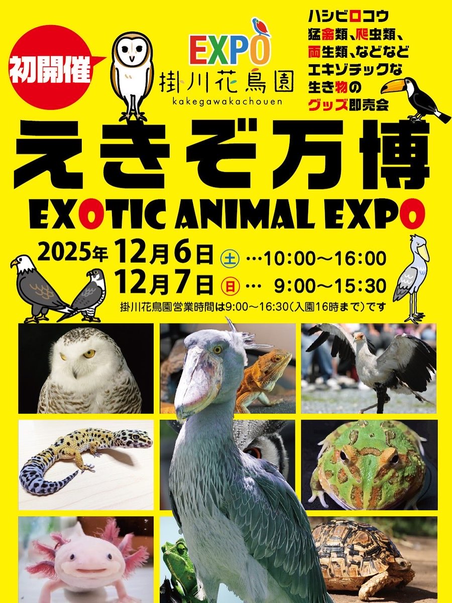 掛川花鳥園えきぞ万博 tweet media