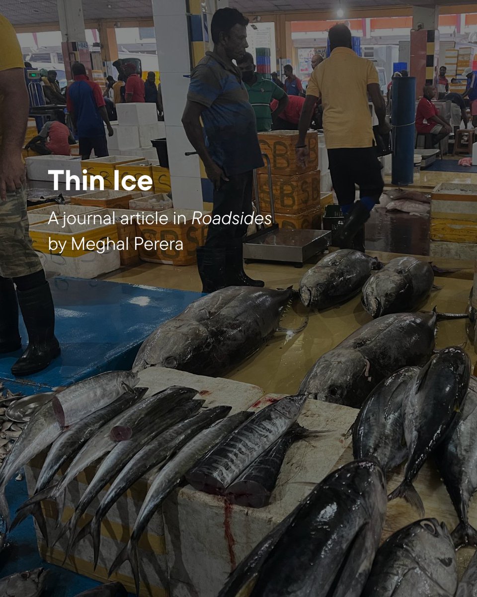 What happens when export-focused infrastructure meets everyday food realities in Colombo?
Colombo Urban Lab Research Associate Meghal Perera’s article in <a href="/road_sides/">roadsides</a> reveals how vendors reshape the cold chain to survive.
Read it here: roadsides.webflow.io/articles/8248
