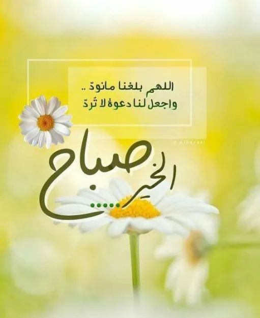 #الخميس_الونيسᅠ