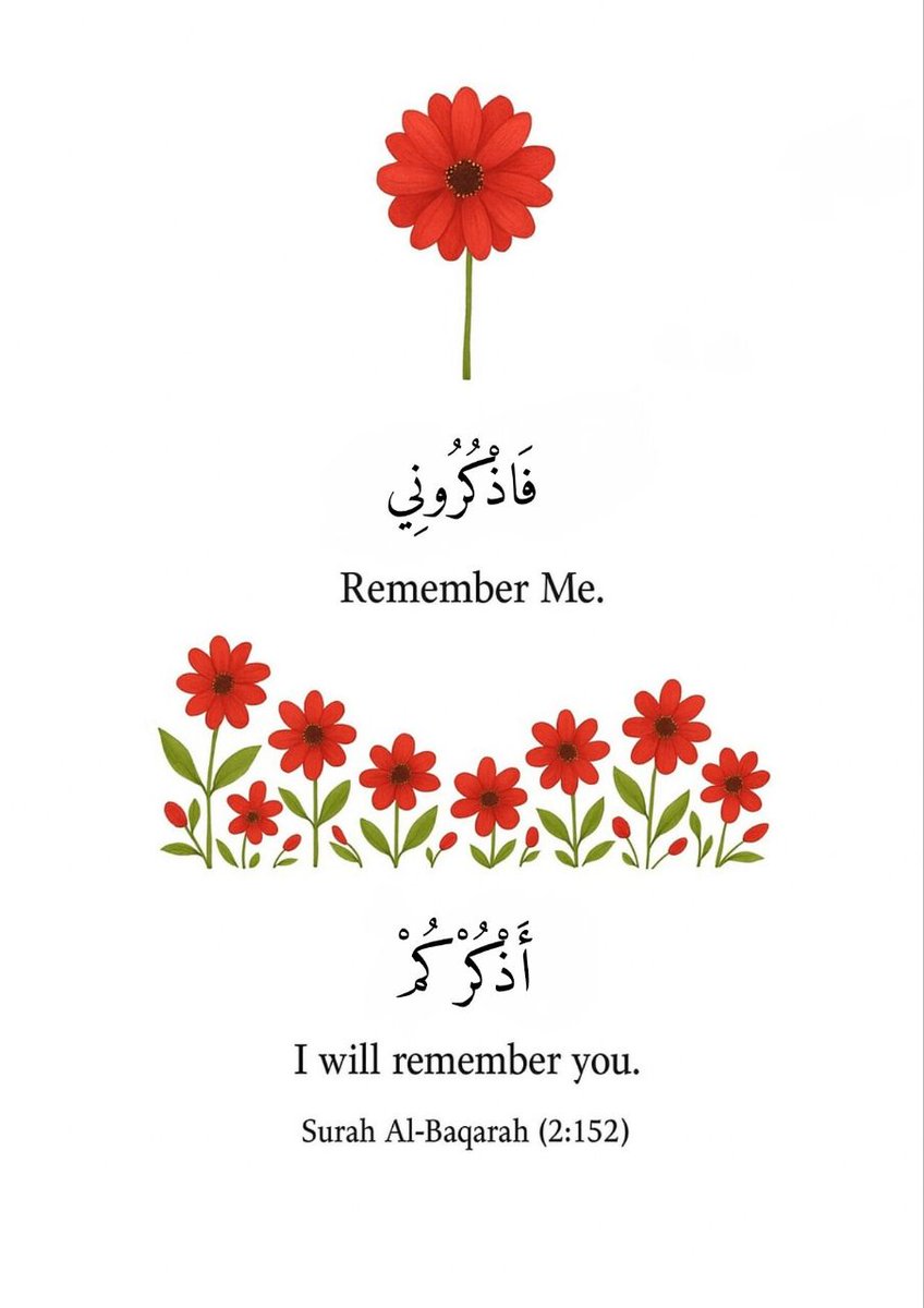 Alquranconnect's tweet photo. Verse of the day https://t.co/4itMzCubJo