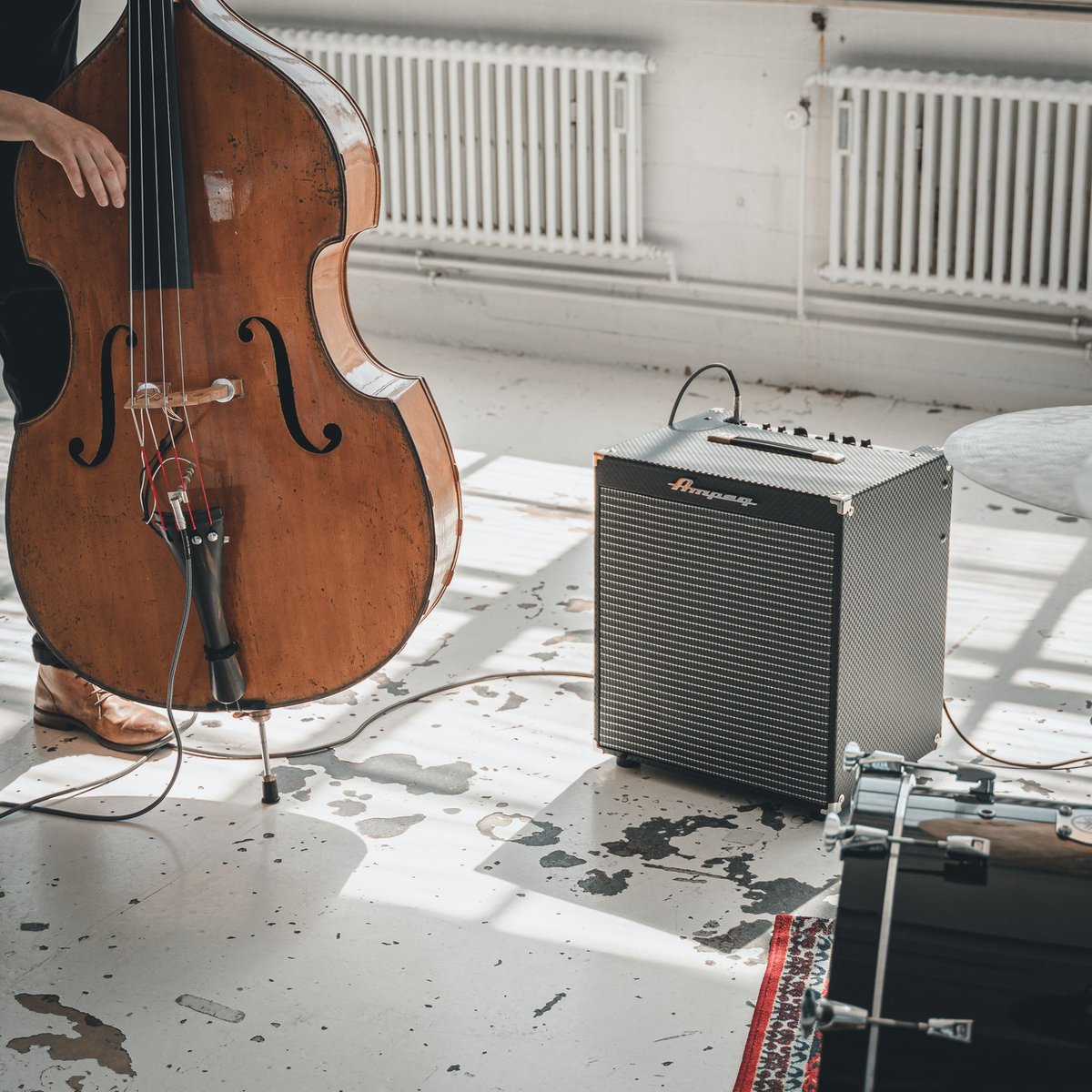 Ampeg Japan (@Ampeg_jp) / Posts / X