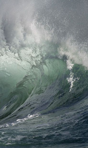 Delight Moments (@delightmoments_) on Twitter photo 