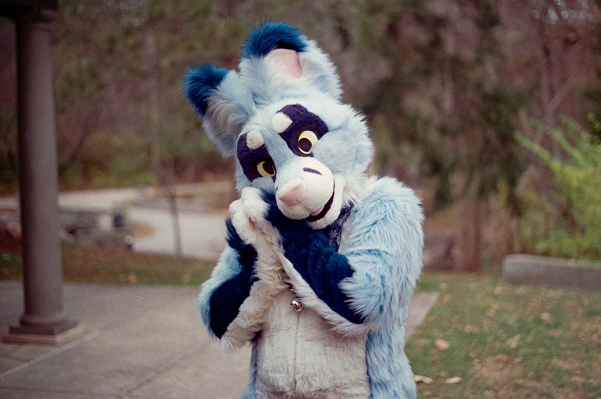 🔴scwerel 🔜 Polacon NYC 📸 tweet media