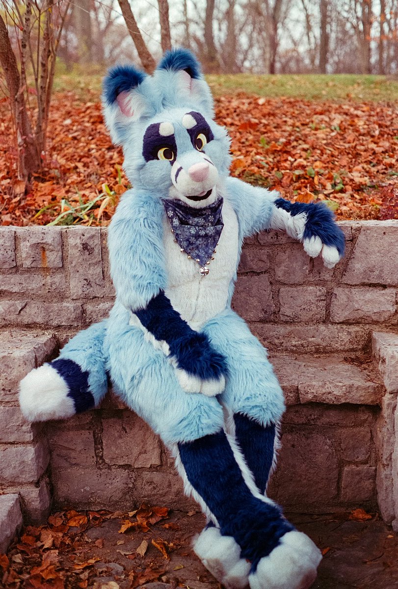 🔴scwerel 🔜 Polacon NYC 📸 tweet media