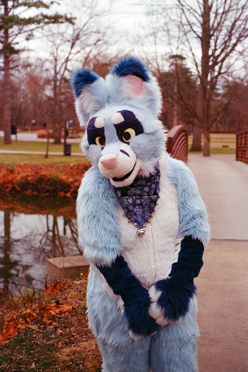 🔴scwerel 🔜 Polacon NYC 📸 tweet media