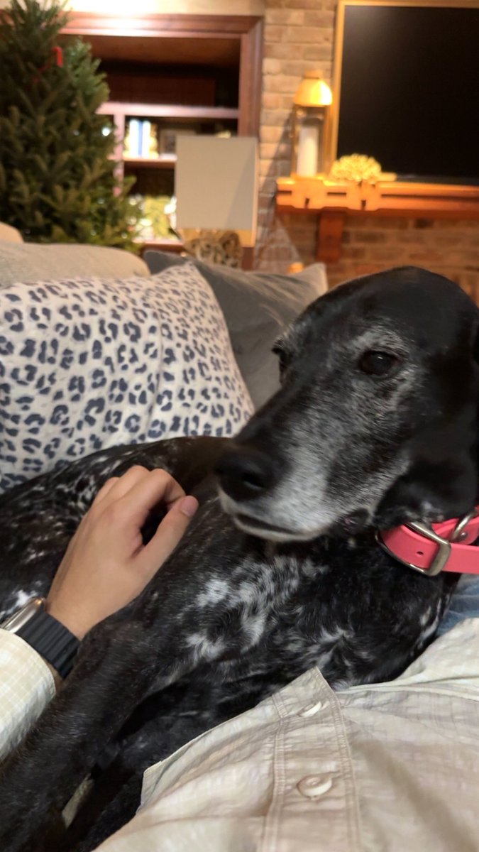 RustyShack9969's tweet image. Best part about blackout Wednesday is slamming a rack of beers with your pops and then chilling on the couch with the childhood family dog. #WANGHAF #LANK #GSP #BlackoutWednesday