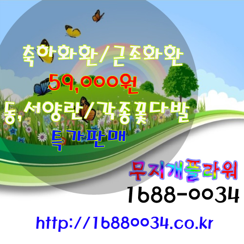 🌈 무지개플라워 🌈
💐 3단 화환 100,000원 → 59,000원 특가!

📞 문의 : 1688-0034

✔️ 결혼식 · 장례식 · 이전 · 개업 · 승진 · 취임
✔️ 3단화환 / 화분 / 꽃다발 / 동·서양란
✔️ 배송시간 지정 &amp; 무료배송 
✔️ 세금계산서 발행 가능 / 기업체 월말결제 

👉 홈페이지 : 16880034.co.kr