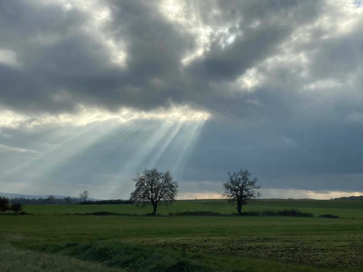 subutex4's tweet image. Bonjour,
26 Novembre MMXXV
14h