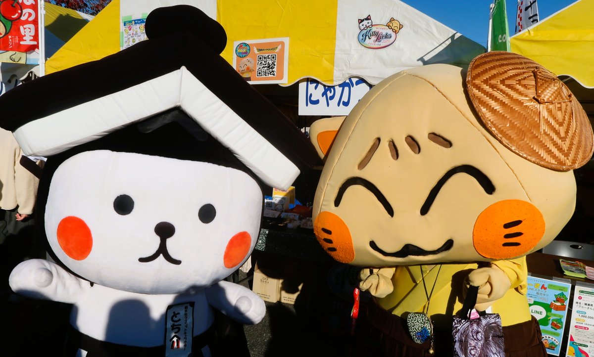 あーちゃん (@xaxxyxxnx) / Posts / X