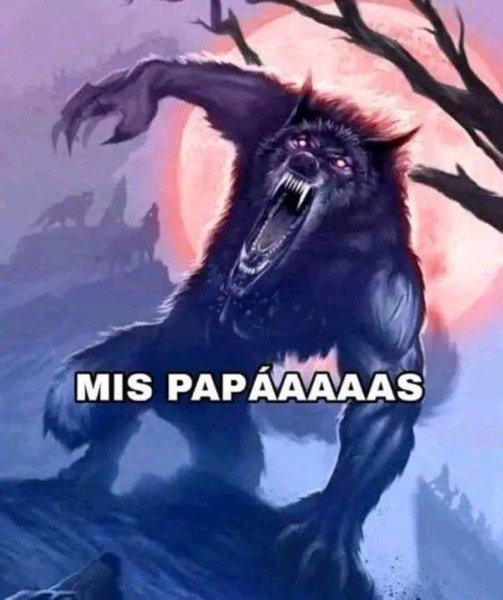 dudmian's tweet image. 