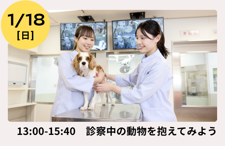 peppykango's tweet photo. 【1月オーキャン予約スタート】
明日から12月⛄
本格的な進路選択にも、まずはお仕事体験からという方にもぴったりの内容でお待ちしています！

WEB申込 ⇒ https://t.co/wNCYF8d8rF
LINE申込 ⇒ https://t.co/Spg3SzWKAM https://t.co/Bqq1jSnuMg