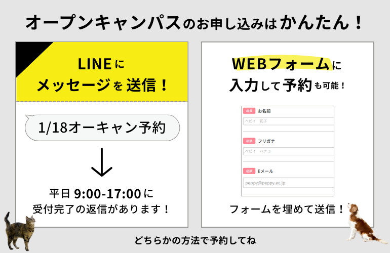 peppykango's tweet photo. 【1月オーキャン予約スタート】
明日から12月⛄
本格的な進路選択にも、まずはお仕事体験からという方にもぴったりの内容でお待ちしています！

WEB申込 ⇒ https://t.co/wNCYF8d8rF
LINE申込 ⇒ https://t.co/Spg3SzWKAM https://t.co/Bqq1jSnuMg