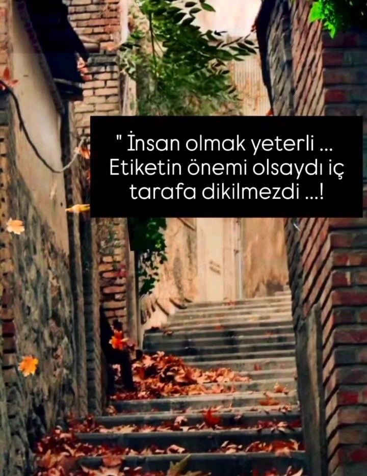 elvann0411's tweet image. “İnsan insan derler idi 
İnsan nedir şimdi bildim…”🍀

Muhyiddin Abdal
#günaydın
#perşembe