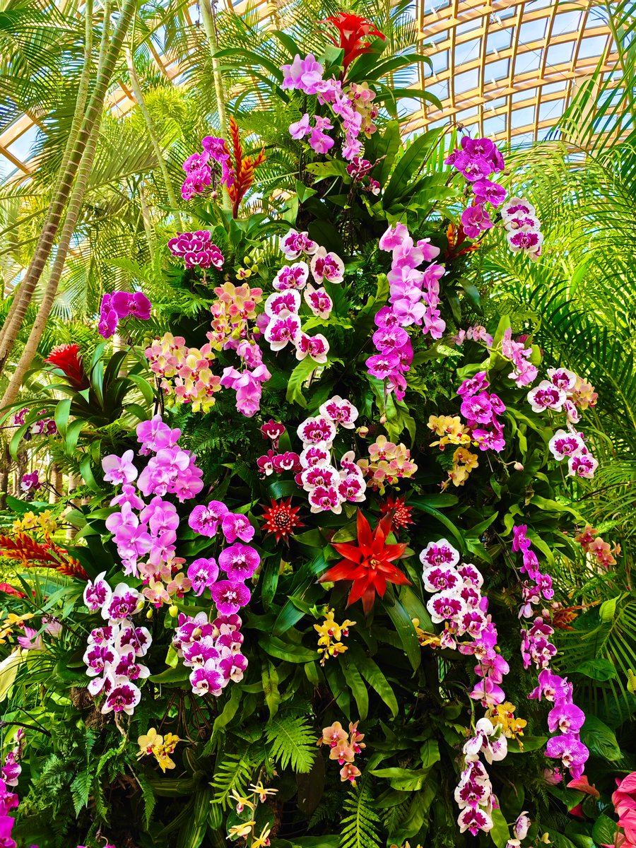 david_andrew123's tweet image. Wish you a pleasant mood😊😊😊