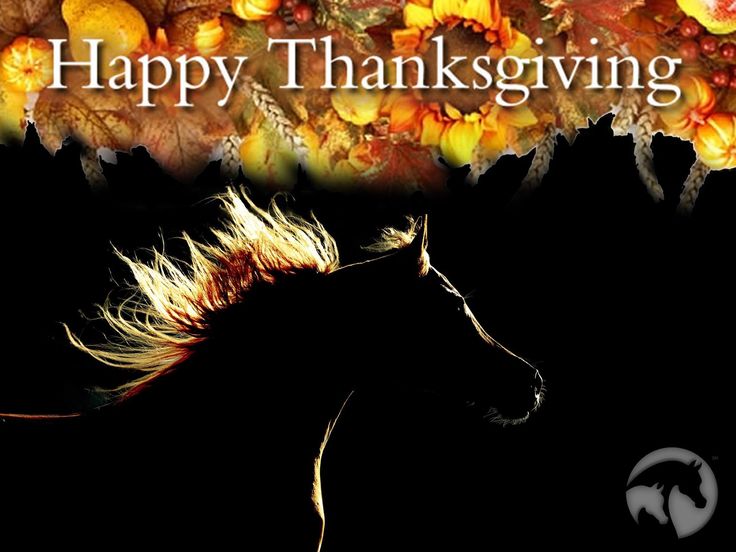 Jim Martinez tweet media