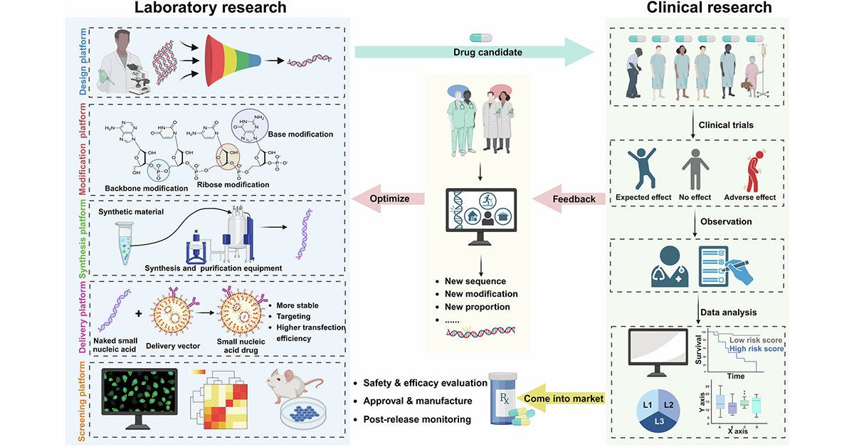 sigtrans_sttt's tweet image. This review discusses small nucleic acid therapeutics, highlighting advances in chemical modifications and delivery platforms, profiles approved drugs like #AntisenseOligonucleotides, #aptamers, and #siRNAs, and addresses clinical challenges.

#STTT: doi.org/10.1038/s41392…