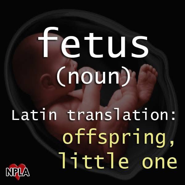 since33's tweet image. Pray for the little ones.