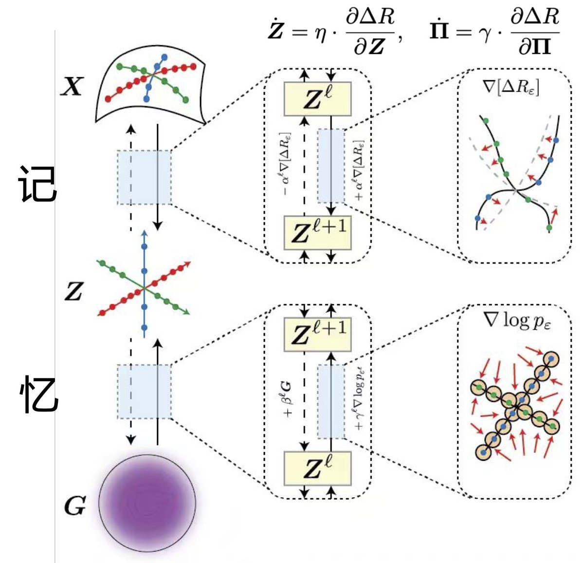 YiMaTweets's tweet image. All done with my new course on Deep Representation Learning this semester. All lecture slides and video recordings are now available at the book website: ma-lab-berkeley.github.io/deep-represent… We believe, with the book, they help students clarify basic concepts and principles of Intelligence.