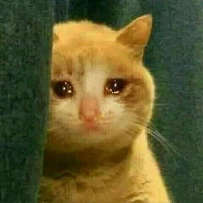 Palakonweb's tweet image. Everyone is concerned about user experience 
No one is concerned about developers experience