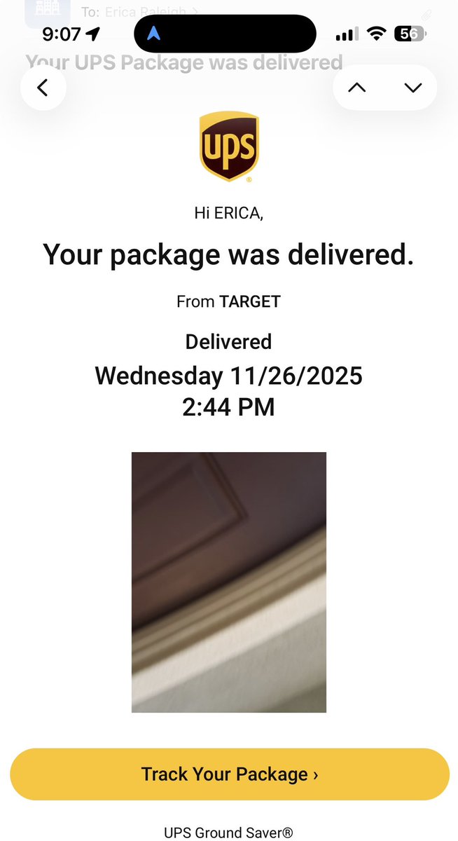 Queen bay tweet media