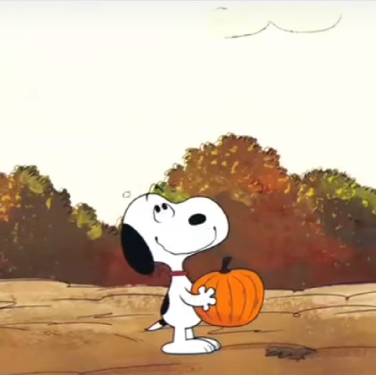 Can I get a GM?  🦃 🎃