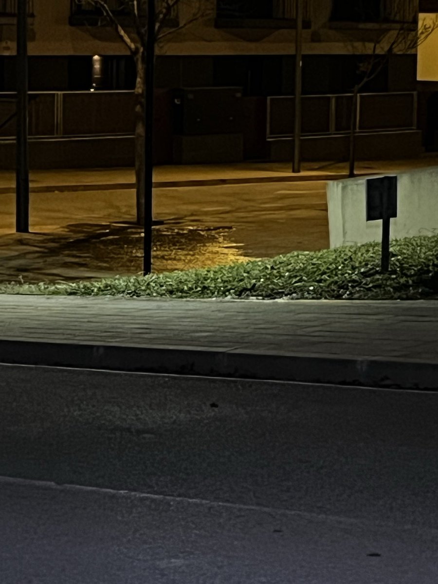 AlberolaMarta's tweet photo. @AjSantFruitos 
Avui a les 6:30 els esperssors del costat de la biblioteca encara regaven i l’aigua que baixava per la borera estava congelada.
Us adjunto fotos https://t.co/apxR6qafbx