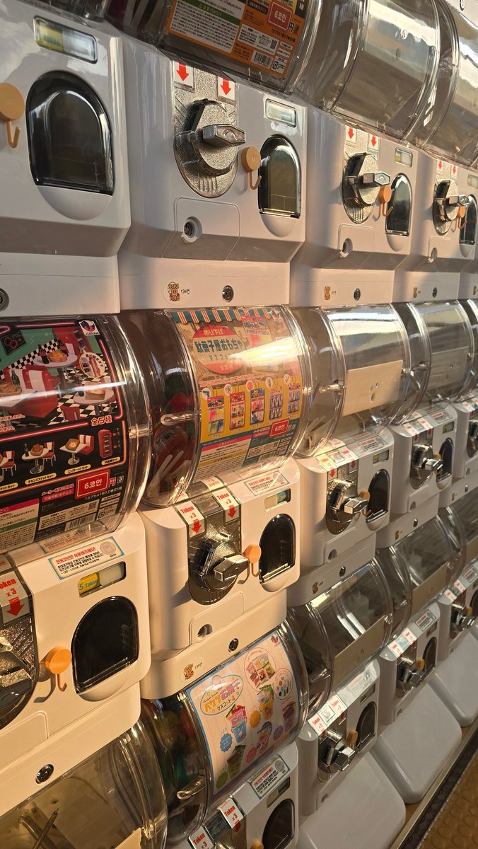 2층에 물건 넣는데 종일 비오다 햇살이 사르르 들어오니까 너무너무 예쁘다🥹 좋았어 열심히 채워보자~ 아자잣~ !!!! #호데데가챠샵