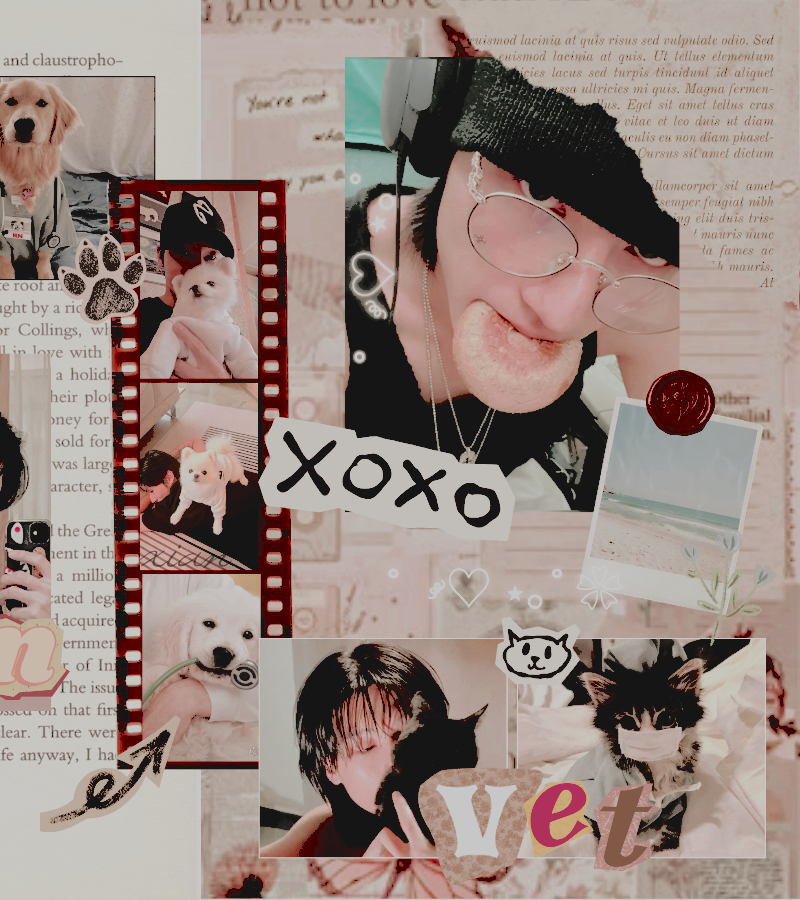 hauntcrow's tweet image. ᅠ
    ⊹   ׅ  🦭   DR.  JA͟N͟G  SI͟Y͟U͟N.    ֹ   𔓕
    veterinarian,  specialises  in
    rare  and  exotic  animals.  🐾
    ₊ ˚ ⊹ ꒷ ᗢ  ⦂  heart  of  gold. 
ᅠ